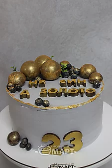  Лучшему ТБМ766