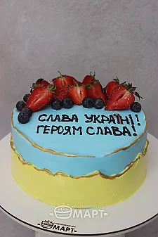 Патріотичний ТБМ796