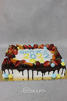 Корпоративний ТБМ800