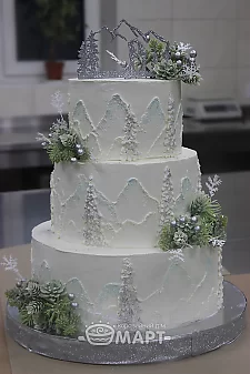 Зимова казка Тв270