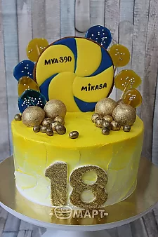  Волейбольный мяч ТБМ397