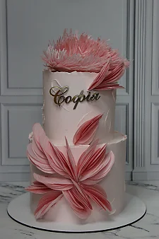 Хрещення ТБМ1205