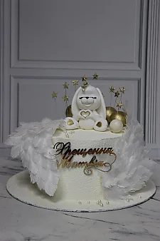 Хрещення ТБМ1221