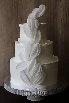 Білосніжна краса Тв232