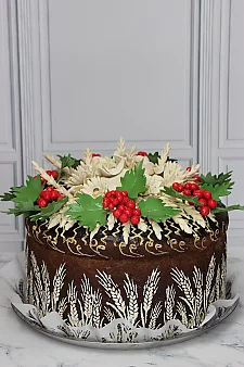  Калина Ктм65