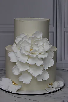 Ніжність Тв323
