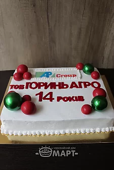  Корпоративный ТБМ670