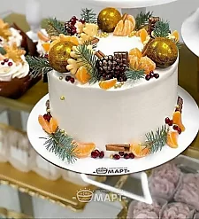 Новогодний ТБМ737